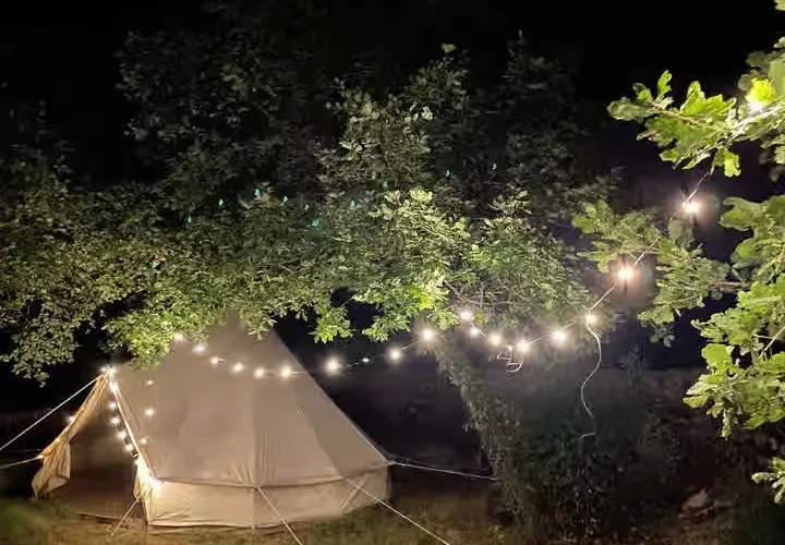 Eco Home Montenegro — Kotor Bay Campsite
