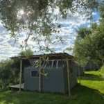 bamboo-glamping (9)