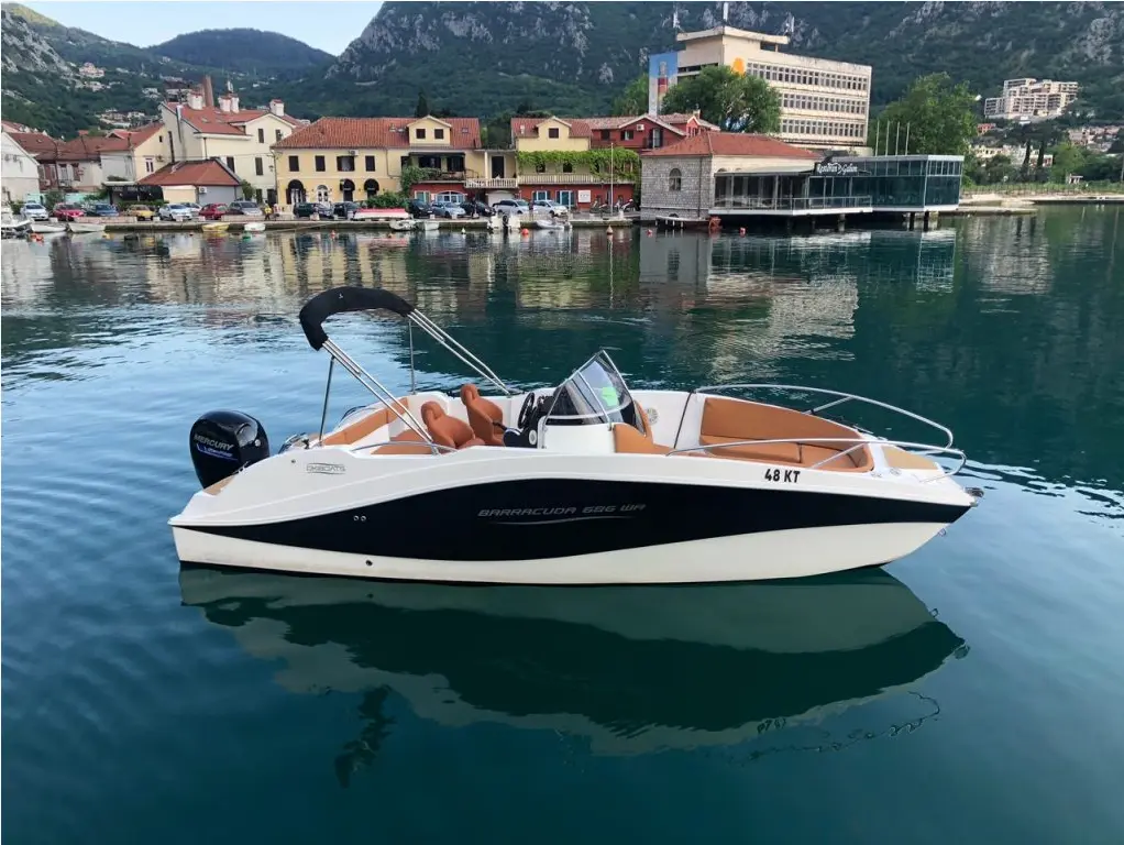 Barracuda 686