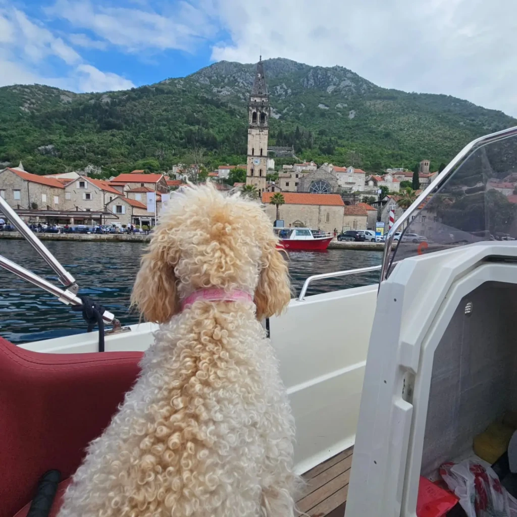 boka-bay-boat-tour (5)
